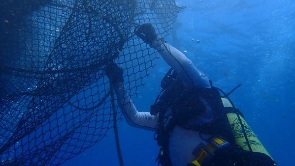 潛海戰將深入海洋清除漁網
