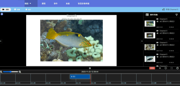 圖四-AI珊瑚礁魚種偵測與辨識系統