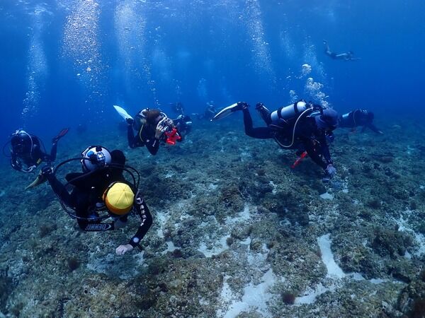 海委會加碼 攜手友善潛店守護蔚藍海洋