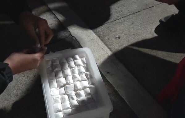 專案小組於搜索查獲之鸚鵡蛋