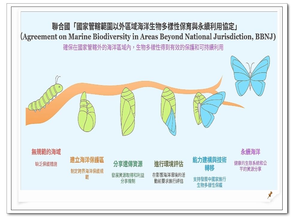聯合國海洋法公約下國家管轄外區域海洋生物多樣性保育及永續利用協定
